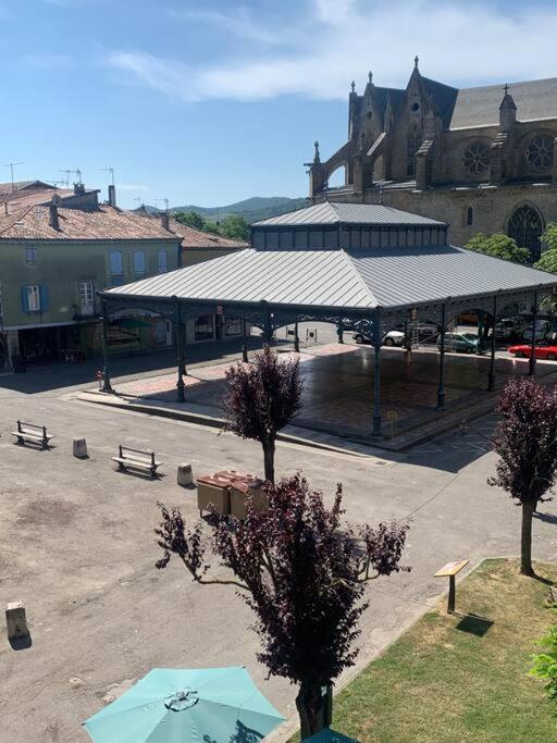 Appartement Mirepoix Mirepoix  Dış mekan fotoğraf